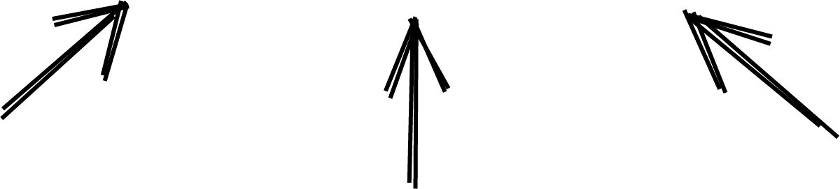 Pijlenrev